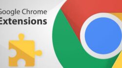 Ekstensi Pada Google Chrome