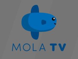 3 Cara Berlangganan Mola TV via Web, Indihome dan Aplikasi HP