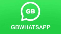 Keuntungan Memakai Aplikasi GB WhatsApp