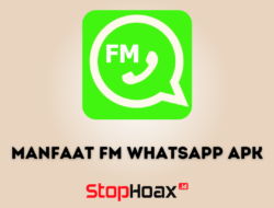Menjelajahi Manfaat FM WhatsApp APK untuk Pengguna Android