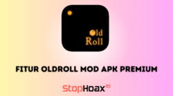 Fitur Oldroll Mod Apk Premium Unlocked Camera Terbaru di Android