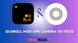 Perbedaan Oldroll Mod Apk Camera vs Vsco Manakah yang Lebih Cocok Untuk Kamu